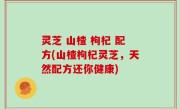 灵芝 山楂 枸杞 配方(山楂枸杞灵芝，天然配方还你健康)