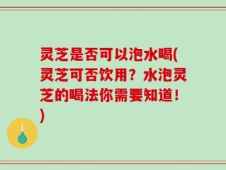 灵芝是否可以泡水喝(灵芝可否饮用？水泡灵芝的喝法你需要知道！)