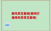 西坞灵芝基地(西坞打造纯天然灵芝基地)