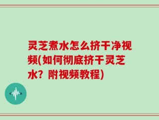 灵芝煮水怎么挤干净视频(如何彻底挤干灵芝水？附视频教程)