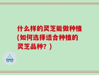什么样的灵芝能做种植(如何选择适合种植的灵芝品种？)