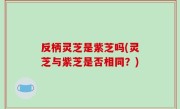 反柄灵芝是紫芝吗(灵芝与紫芝是否相同？)