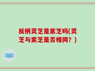 反柄灵芝是紫芝吗(灵芝与紫芝是否相同？)