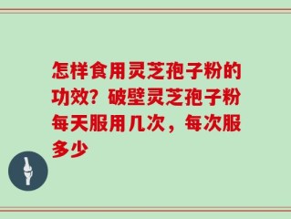 怎样食用灵芝孢子粉的功效？破壁灵芝孢子粉每天服用几次，每次服多少