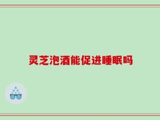 灵芝泡酒能促进睡眠吗