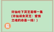 许仙吃下灵芝是哪一集(许仙误食灵芝：爱情之魂的命悬一线！)
