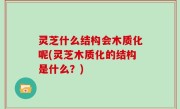 灵芝什么结构会木质化呢(灵芝木质化的结构是什么？)