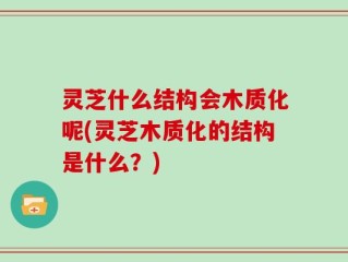 灵芝什么结构会木质化呢(灵芝木质化的结构是什么？)