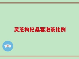 灵芝枸杞桑葚泡茶比例