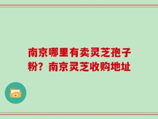 南京哪里有卖灵芝孢子粉？南京灵芝收购地址