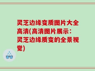 灵芝边缘变质图片大全高清(高清图片展示：灵芝边缘质变的全景视觉)