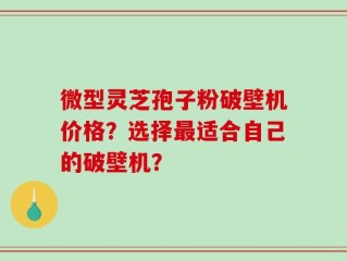 微型灵芝孢子粉破壁机价格？选择最适合自己的破壁机？