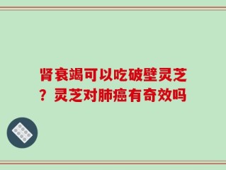 肾衰竭可以吃破壁灵芝？灵芝对肺癌有奇效吗
