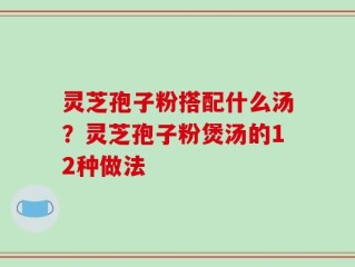 灵芝孢子粉搭配什么汤？灵芝孢子粉煲汤的12种做法