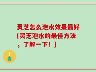 灵芝怎么泡水效果最好(灵芝泡水的最佳方法，了解一下！)
