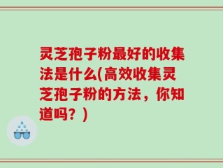 灵芝孢子粉最好的收集法是什么(高效收集灵芝孢子粉的方法，你知道吗？)