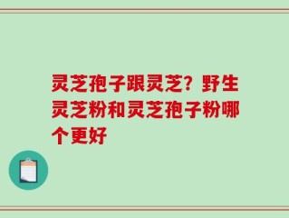 灵芝孢子跟灵芝？野生灵芝粉和灵芝孢子粉哪个更好