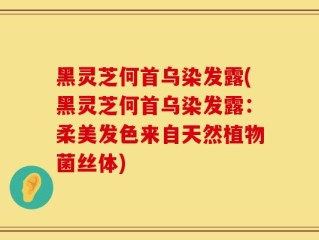 黑灵芝何首乌染发露(黑灵芝何首乌染发露：柔美发色来自天然植物菌丝体)