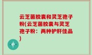 云芝菌胶囊和灵芝孢子粉(云芝菌胶囊与灵芝孢子粉：两种护肝佳品)