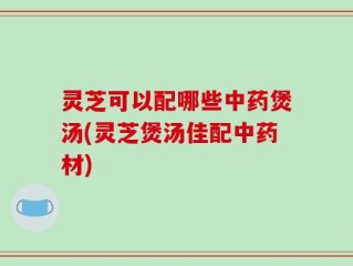 灵芝可以配哪些中药煲汤(灵芝煲汤佳配中药材)