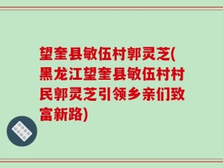望奎县敏伍村郭灵芝(黑龙江望奎县敏伍村村民郭灵芝引领乡亲们致富新路)