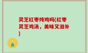 灵芝红枣炖鸡吗(红枣灵芝鸡汤，美味又滋补)