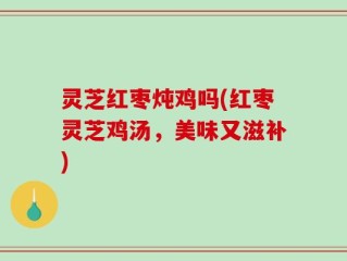 灵芝红枣炖鸡吗(红枣灵芝鸡汤，美味又滋补)