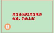 灵芝还没卖(灵芝瑰姿未减，仍未上市)