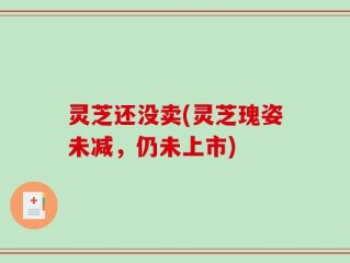 灵芝还没卖(灵芝瑰姿未减，仍未上市)