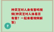 种灵芝对人身有害吗视频(种灵芝对人体是否有害？一起来看视频解答)