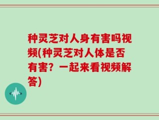 种灵芝对人身有害吗视频(种灵芝对人体是否有害？一起来看视频解答)