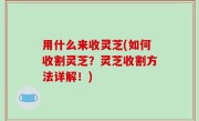 用什么来收灵芝(如何收割灵芝？灵芝收割方法详解！)