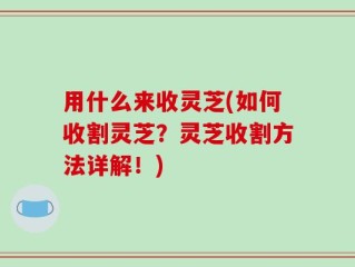 用什么来收灵芝(如何收割灵芝？灵芝收割方法详解！)