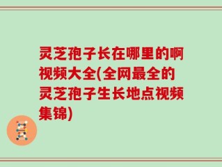 灵芝孢子长在哪里的啊视频大全(全网最全的灵芝孢子生长地点视频集锦)