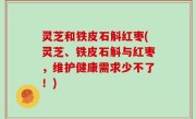 灵芝和铁皮石斛红枣(灵芝、铁皮石斛与红枣，维护健康需求少不了！)