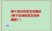 哪个地方的灵芝效果好(哪个区域的灵芝功效最佳？)