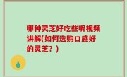 哪种灵芝好吃些呢视频讲解(如何选购口感好的灵芝？)