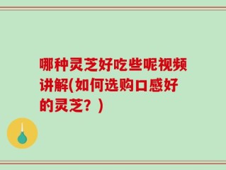 哪种灵芝好吃些呢视频讲解(如何选购口感好的灵芝？)