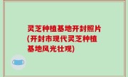 灵芝种植基地开封照片(开封市现代灵芝种植基地风光壮观)