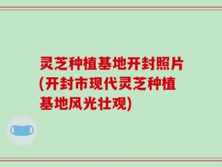 灵芝种植基地开封照片(开封市现代灵芝种植基地风光壮观)