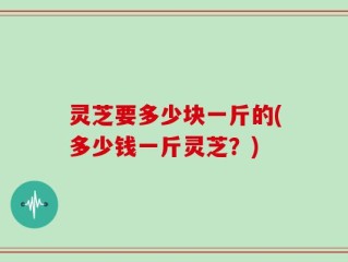 灵芝要多少块一斤的(多少钱一斤灵芝？)