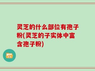 灵芝的什么部位有孢子粉(灵芝的子实体中富含孢子粉)