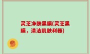 灵芝净肤黑膜(灵芝黑膜，清洁肌肤利器)