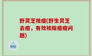 野灵芝祛痘(野生灵芝去痘，有效祛除痘痘问题)