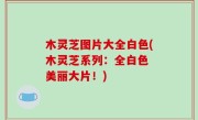 木灵芝图片大全白色(木灵芝系列：全白色 美丽大片！)