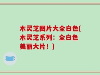 木灵芝图片大全白色(木灵芝系列：全白色 美丽大片！)