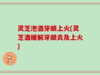 灵芝泡酒牙龈上火(灵芝酒缓解牙龈炎及上火)