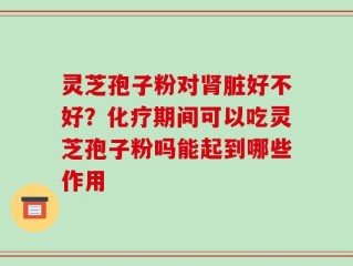灵芝孢子粉对肾脏好不好？化疗期间可以吃灵芝孢子粉吗能起到哪些作用