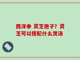 西洋参 灵芝孢子？灵芝可以搭配什么煲汤