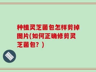 种植灵芝菌包怎样剪掉图片(如何正确修剪灵芝菌包？)